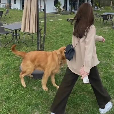 漂亮的推理